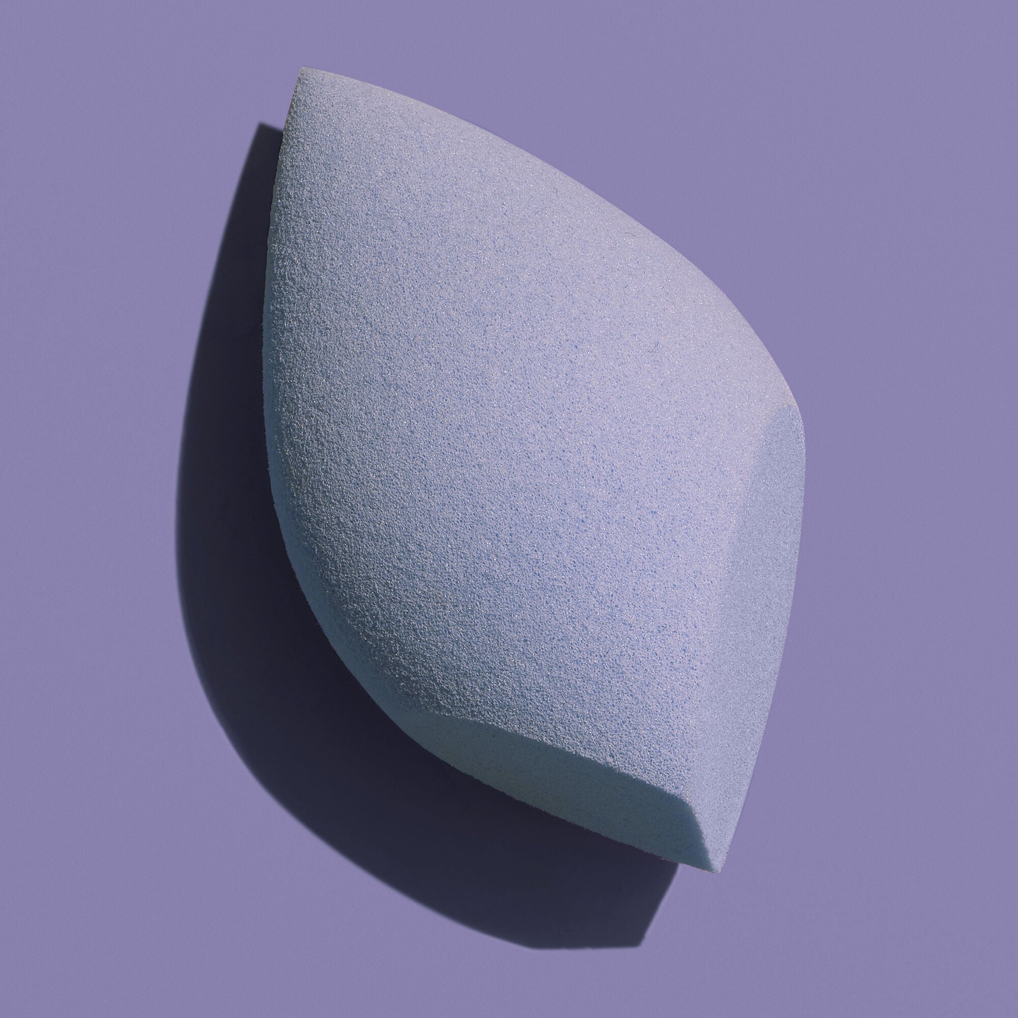 012224_elf_ScultingSponge_Group_ALT_IGF.jpg