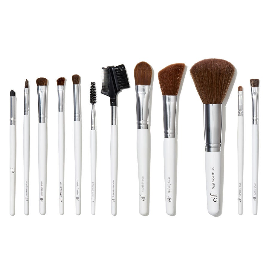 1810_ProfessionalCompleteSetof12BrusheswebA.jpg