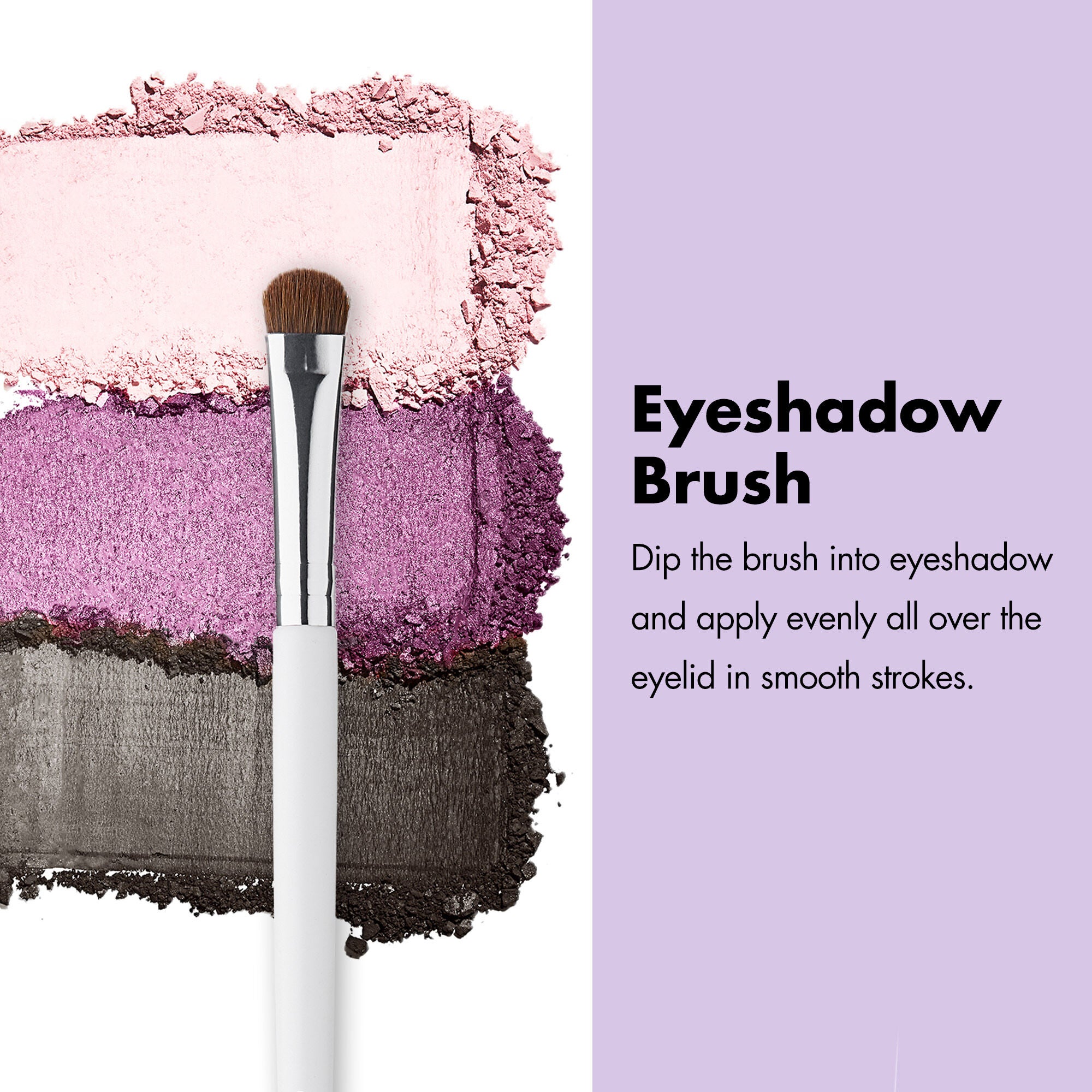 ProfessionalBrushes_Eye_EyeshadowBrush_PDP_Edu_2000x2000.jpg